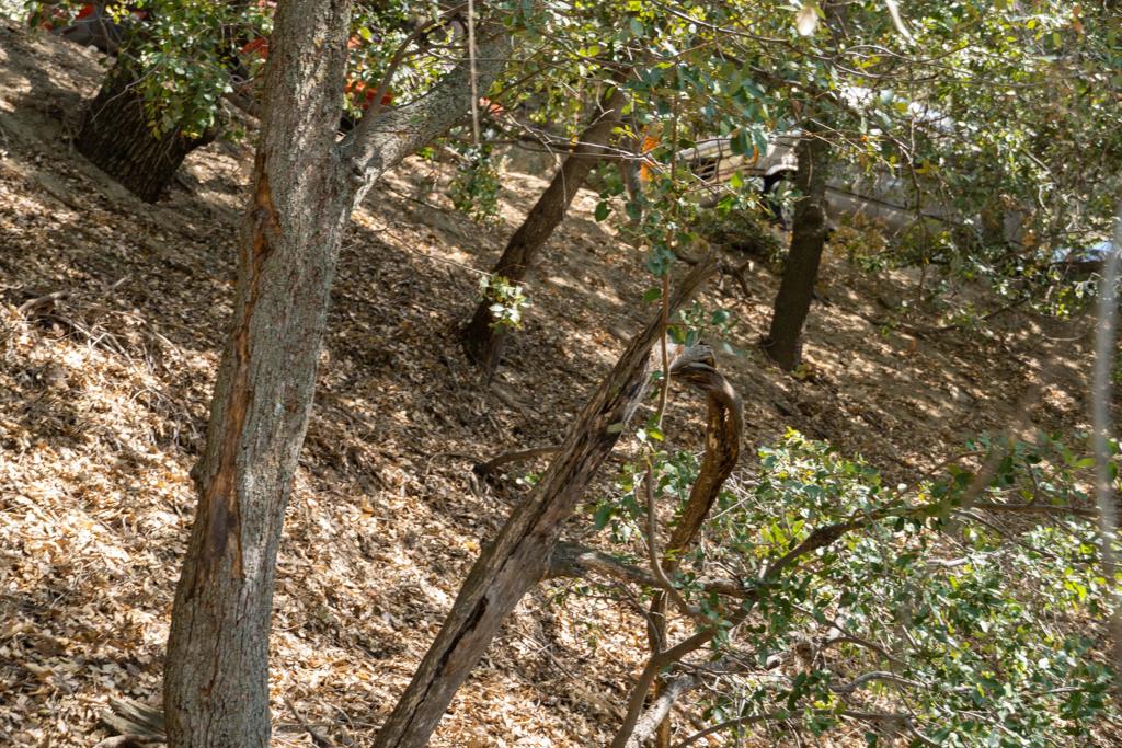 Not Applicable-1 - Land