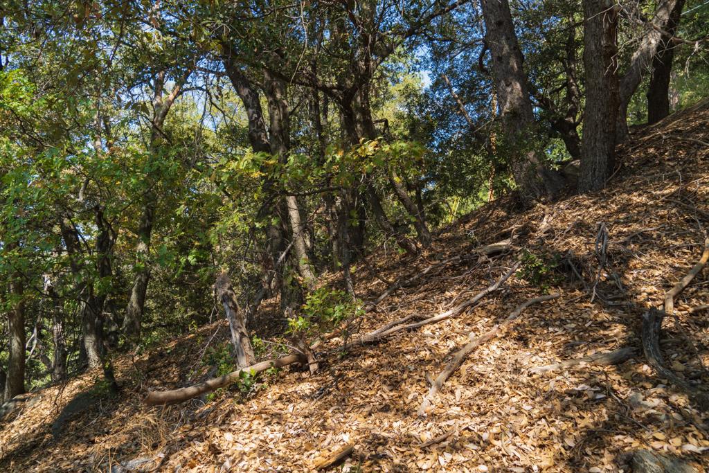 Not Applicable-1 - Land