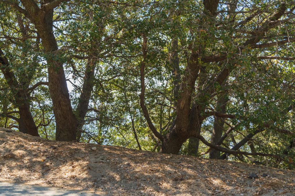 Not Applicable-1 - Land