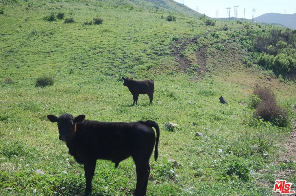 Ventura, California 93001, United States, ,Land,Pending,65807