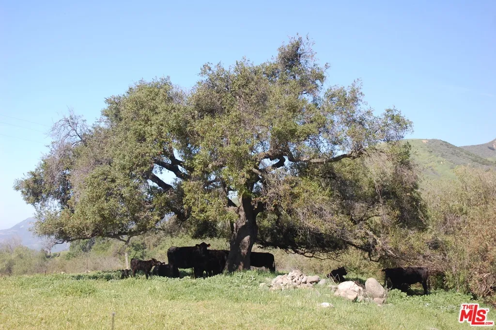 Ventura, California 93001, United States, ,Land,Pending,65807