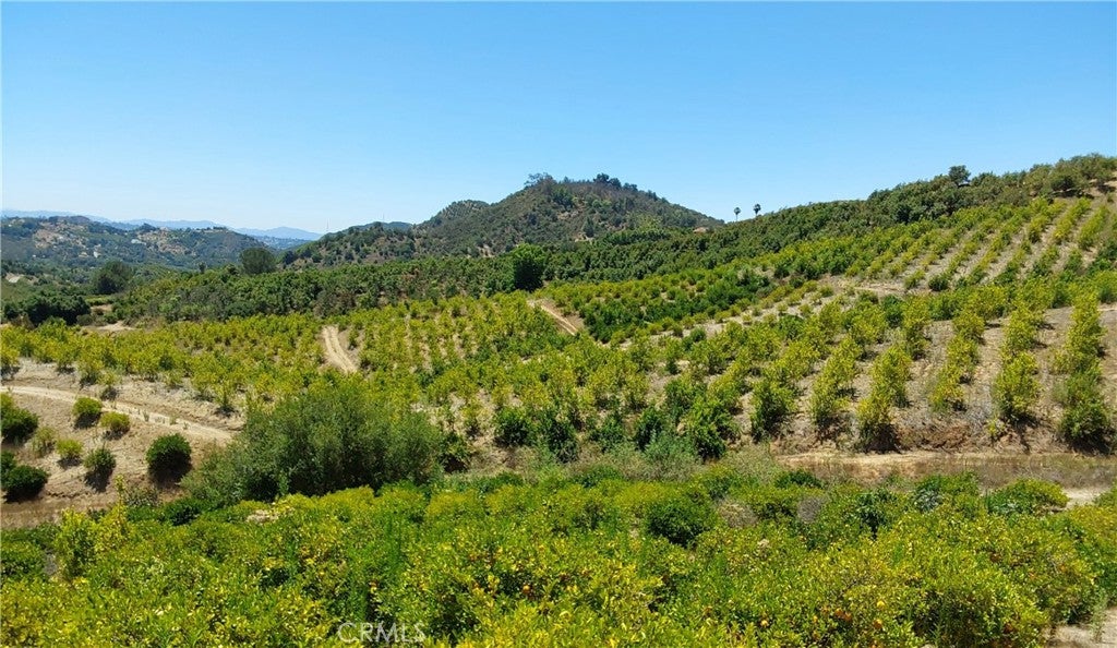 5 De Anza Road