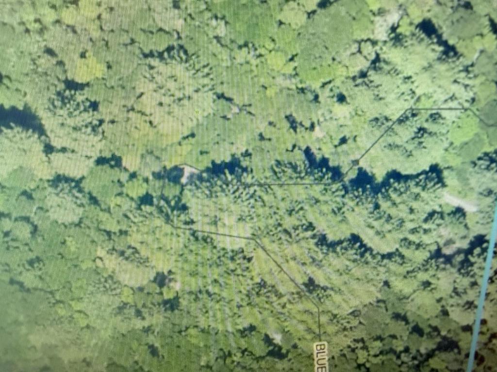 7517202 Vacant Land (APN 075-172-02)