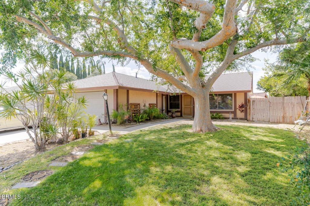 1012 Ortega Street