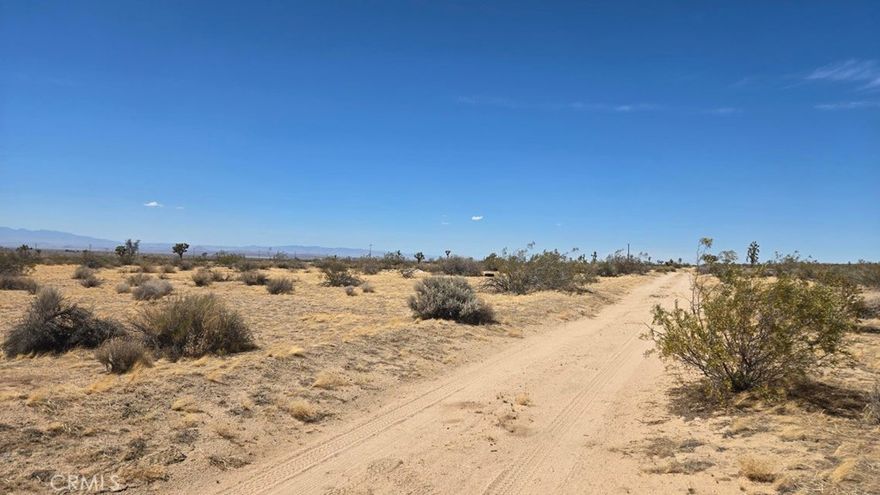 Scenic east-side parcel with versatile A-2 zoning! This affordable property has a recently completed Certificate of Compliance, saving you money and time for future development. Views of the valley stretching to the San Gabriels, and iconic Joshua tree specimens make for an attractive desert setting. This level parcel is located just over 1000' feet south of paved Avenue G and the nearest electricity. The land is in the Antelope Valley Significant Ecological Area, so please do your due diligence with LA County regarding your development plans. A nice buy! *Buyer to make their own independent investigations regarding Zoning & General Plan Designations, Environmental & Hazard Zones, Access & Development Costs, Availability & Costs of Utilities.