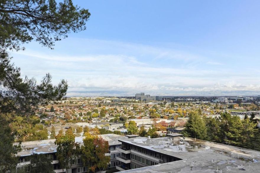 Charming 1-bedroom condo located in a highly desirable Belmont neighborhood. This bright and comfortable home features a practical floor plan with a spacious living area that opens to a private balcony with lovely views. The kitchen offers ample cabinet space and a functional layout, and the bedroom includes a generous closet and a well-sized full bathroom.  The Belmont community provides resort-style amenities including swimming pools, spas, a fitness center, billiards room, and a Sky Room deck lounge with beautiful panoramic views. The grounds are well maintained with walking paths, mature trees, and peaceful outdoor spaces. The building is secure and includes one reserved parking space, additional storage, and guest parking. HOA fees cover heating, water, garbage, and all community amenities.  Conveniently located near restaurants, shopping, Caltrain, parks, and major commute routes to both San Francisco and Silicon Valley. Enjoy top-rated Belmont schools and a wonderful opportunity to own a lovely home in an exceptional community. *some photos virtually staged