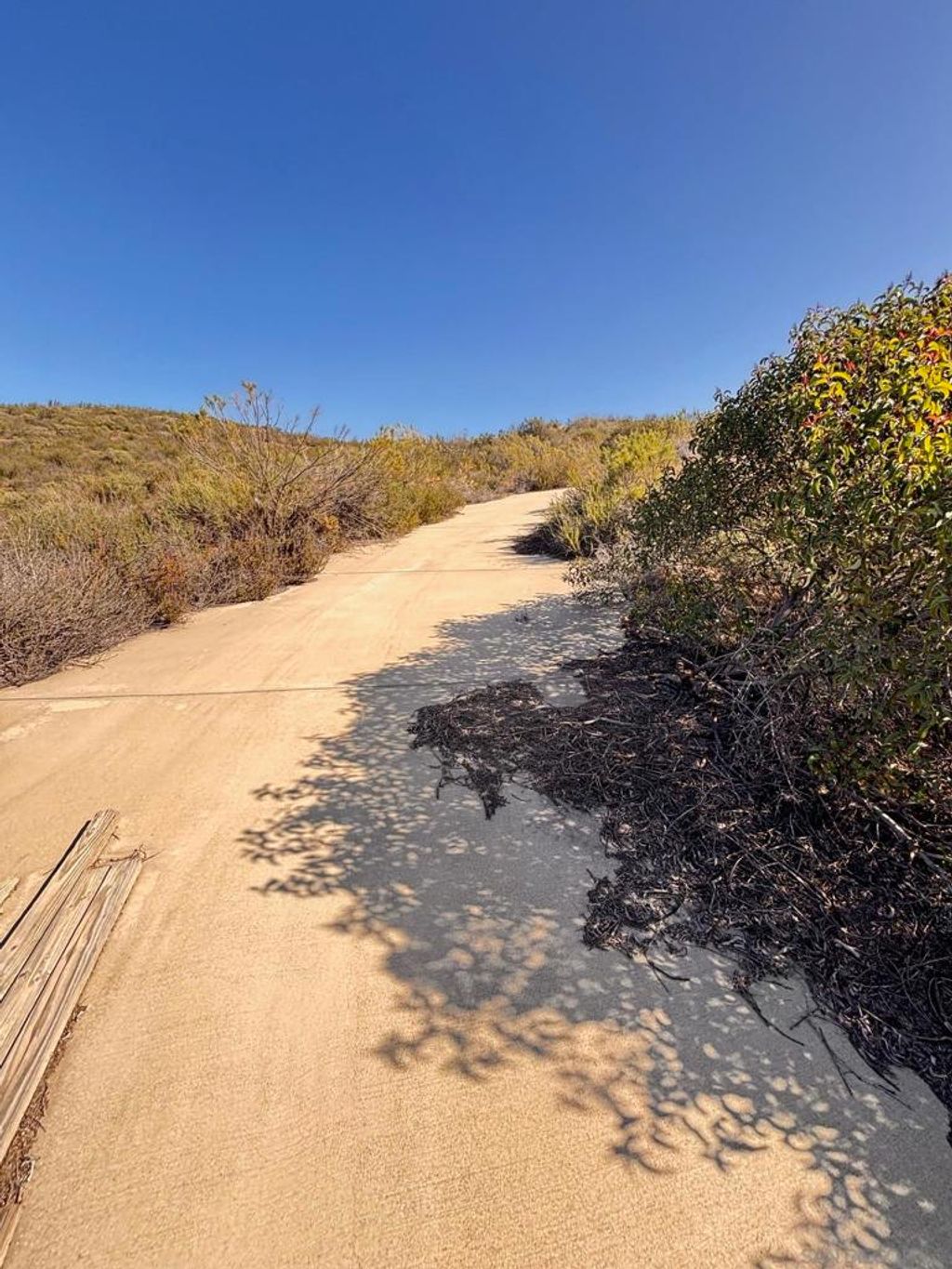 Photo of 23833 Tecate Mission Rd Rd, Tecate, CA 91980 (MLS # 260002762SD)