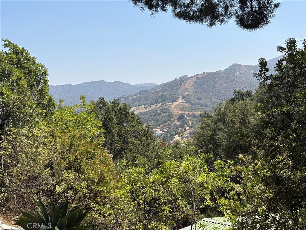 21313 Hillside