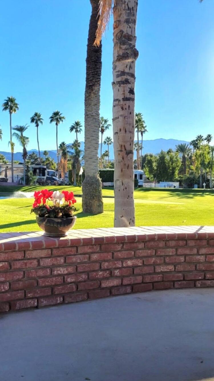 69411 Ramon Road 1135