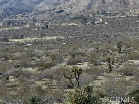 0 29 Palms Highway