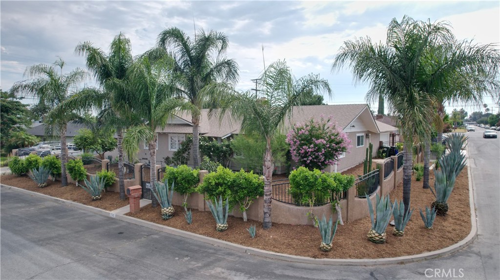 732 N Olive Avenue