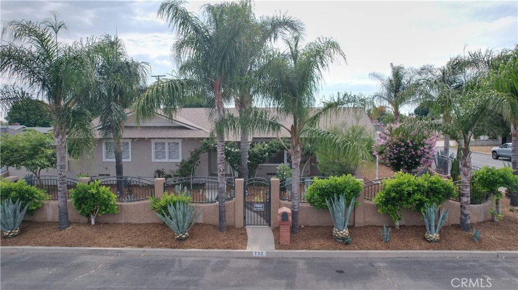 732 N Olive Avenue