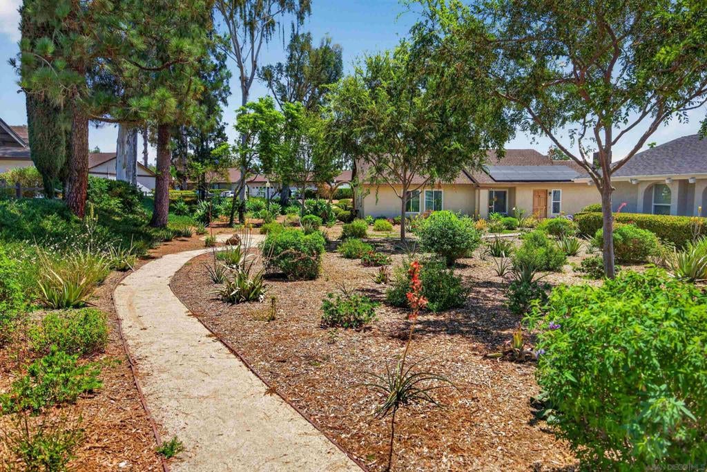 2207 Arborvitae
