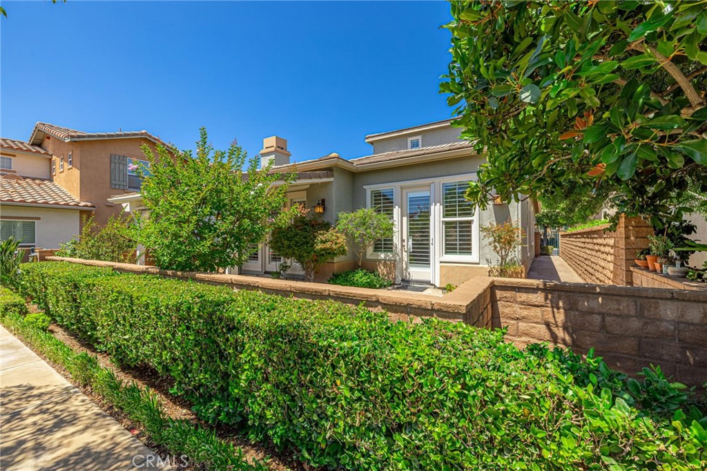 23785 Western Cedar Court