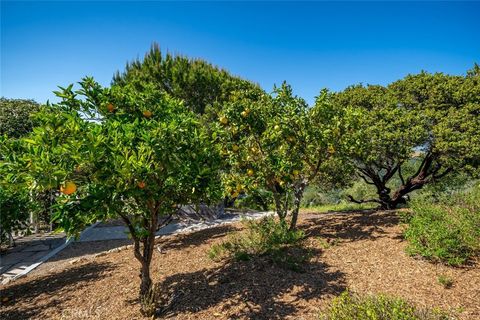 Tiny photo for 2650 Skyview Trail, San Luis Obispo, CA 93405 (MLS # SC25116314)