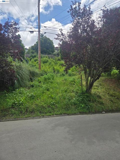 Photo of 3210 Courtland AVE, Oakland, CA 94619 (MLS # 41134377)