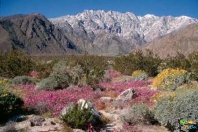 SNOW CREEK RANCH IN PALM SPRINGS, CALIFORNIA.HAVE YOU EVER DREAMED OF OWNING A MASSIVE PIECE OF SPECTACULAR LAND THAT'S PERFECT FOR YOUR OWN PRIVATE RANCH OR RESORT OR CORPORATE RETREAT OR INVESTMENT, THAT JUST HAPPENS TO BE IN BEAUTIFUL PALM SPRINGS, CALIFORNIA.SNOW CREEK RANCH AT 500 ACRES, IS THE LARGEST ESTATE IN PALM SPRINGS.IT SWEEPS UP INTO THE SAN JACINTO MOUNTAINS AND EVERY SPRING, THOUSANDS OF DESERT WILDFLOWERS SMOTHER THE LAND AND UP ABOVE, THE SAN JACINTO MOUNTAIN PEAK AT 10,000 FEET IS COVERED IN SNOW AGAINST AN AZURE BLUE SKY WHILE THE TEMPERATURE IS A SULTRY 78.SNOW CREEK RANCH IS FOR YOU THE ROMANTIC WHO UNDERSTANDS THE iNCREDIBLE POWER OF NATURE WHEN THE DESERT KISSES THE MOUNTAINS.YOU THE ROMANTIC WILL ALSO HAVE ACCESS TO YOUR OWN PRIVATE OASIS FOR MEDITATION, AN AFTERNOON NAP OR AN INTIMATE PICNIC.THIS IS THE FIRST TIME SNOW CREEK RANCH HAS BEEN AVAILABLE IN DECADES. HUFFINGTON POST SAID "PALM SPRINGS IS THE MOST EXCITING CITY IN AMERICA"
