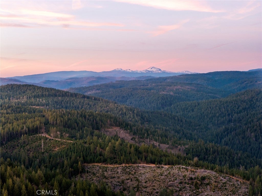 5498 Platt Mountain