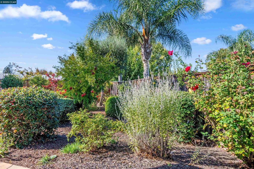 NORTHGATE AREA - Residential