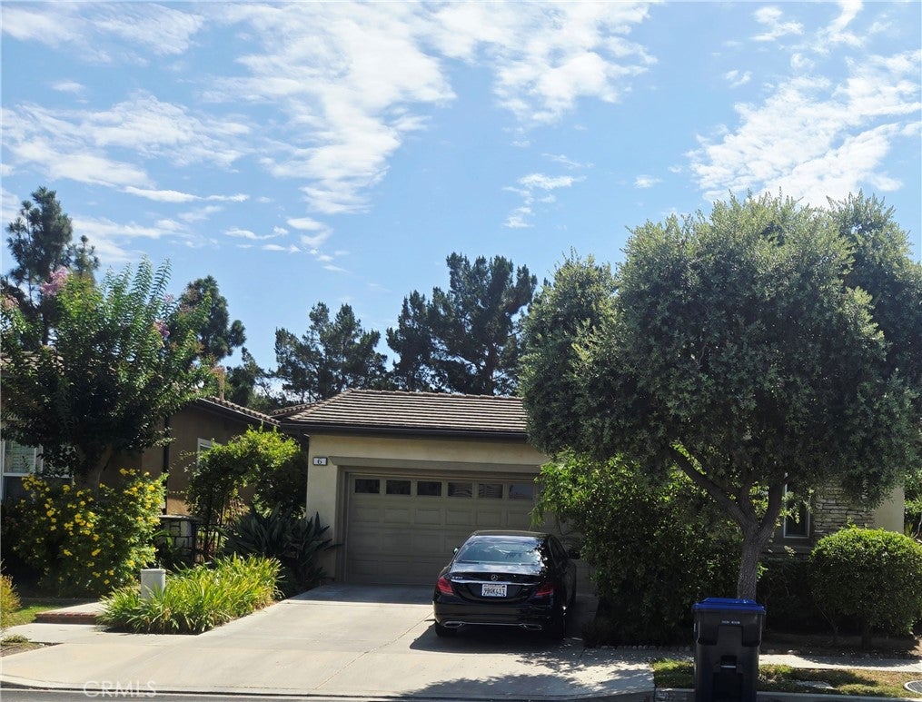6 Saintsbury