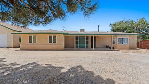 Photo of 9948 Oasis RD, Pinon Hills, CA 92372 (MLS # CV26157922)