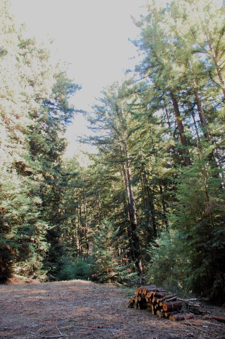 0 Redwood Lodge Road