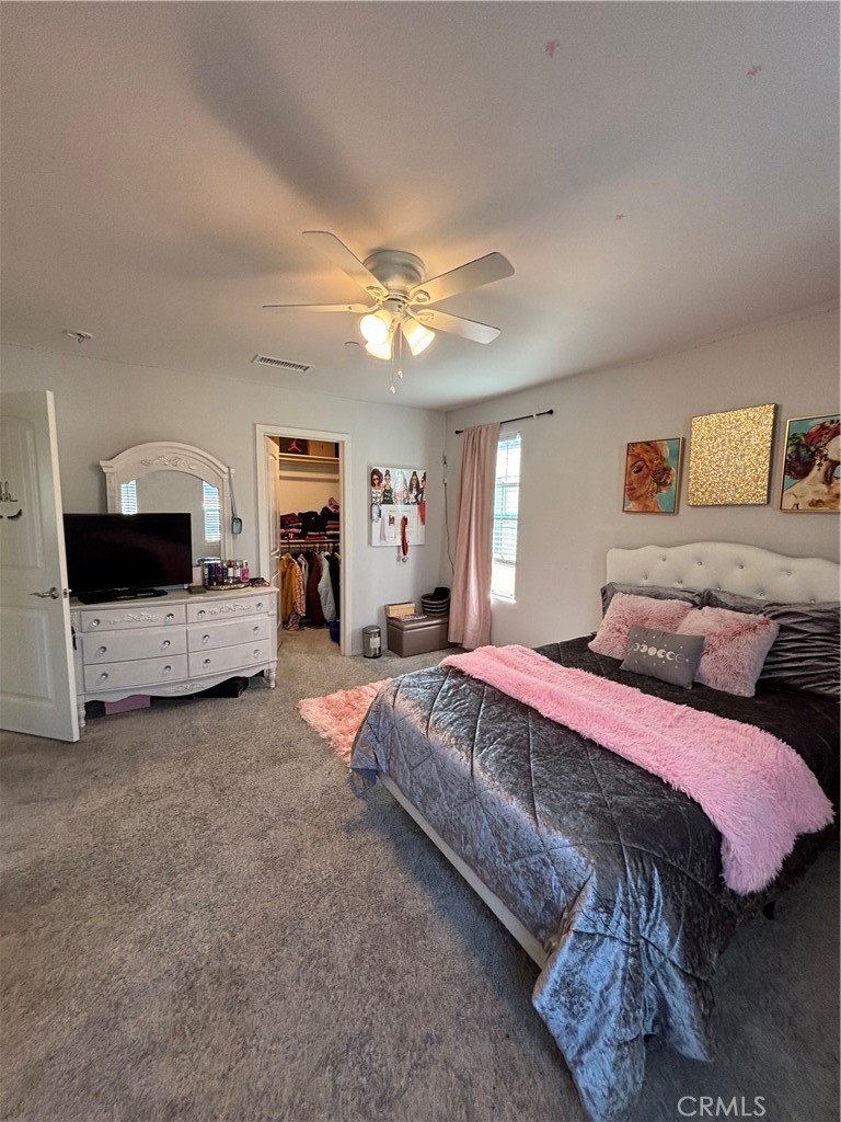 955 W Jasmine Way