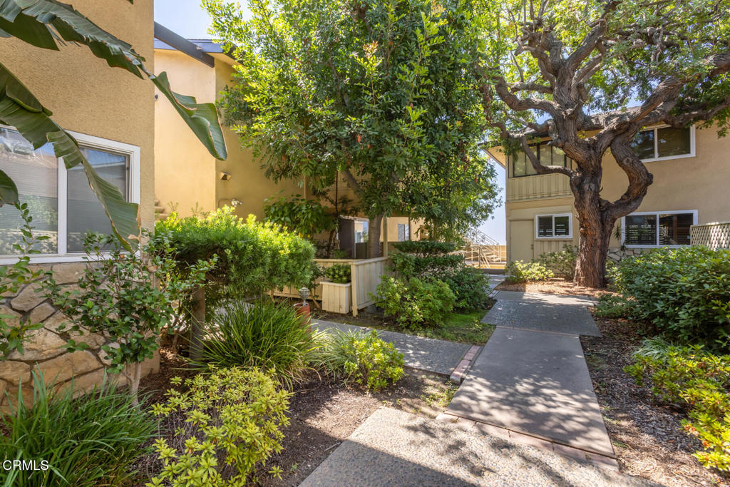 385 Cliff Drive 2