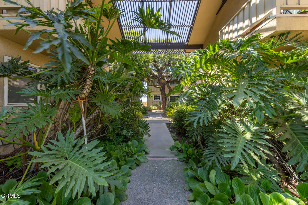 385 Cliff Drive 2