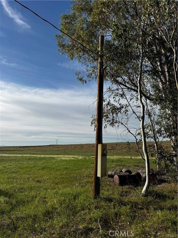 0 Coyote