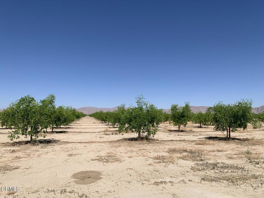 Nestled in the quiet high desert hills of Lucerne Valley, California, this 46-acres farm tells a story of growth, potential, and prosperity. Planted with 1,500 mature jujube trees now in their 8th year of production, the farm is not just land--it's a living, income-generating asset. A powerful 15-horsepower water well and installed electricity ensure stable and efficient operations. Beyond the property lines, Lucerne Valley is awakening. Community development projects are underway, including the revitalization of the town's central community center, while nearby large-scale housing and commercial developments signal a promising future. As the region rises from economic stagnation into active expansion, this farm stands at the perfect intersection of agricultural tradition and future opportunity. Whether you're seeking a working orchard, a long-term investment, or a peaceful slice of California countryside, this land offers all that--and more. This is more than a farm. It's a future rooted in potential.