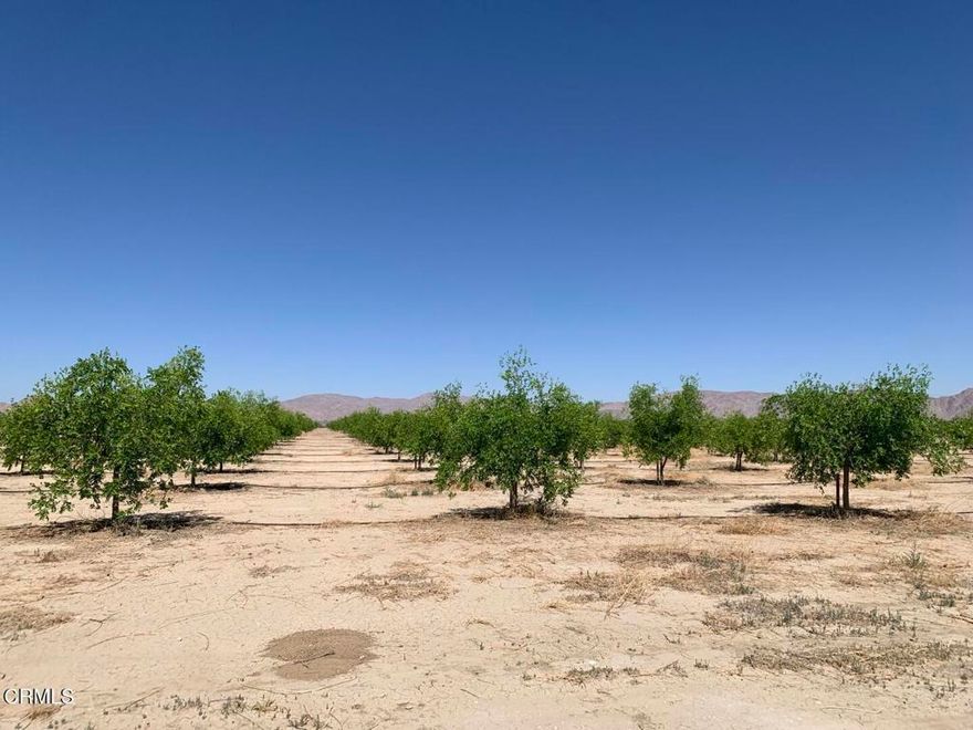Nestled in the quiet high desert hills of Lucerne Valley, California, this 46-acres farm tells a story of growth, potential, and prosperity. Planted with 1,500 mature jujube trees now in their 8th year of production, the farm is not just land--it's a living, income-generating asset. A powerful 15-horsepower water well and installed electricity ensure stable and efficient operations. Beyond the property lines, Lucerne Valley is awakening. Community development projects are underway, including the revitalization of the town's central community center, while nearby large-scale housing and commercial developments signal a promising future. As the region rises from economic stagnation into active expansion, this farm stands at the perfect intersection of agricultural tradition and future opportunity. Whether you're seeking a working orchard, a long-term investment, or a peaceful slice of California countryside, this land offers all that--and more. This is more than a farm. It's a future rooted in potential.