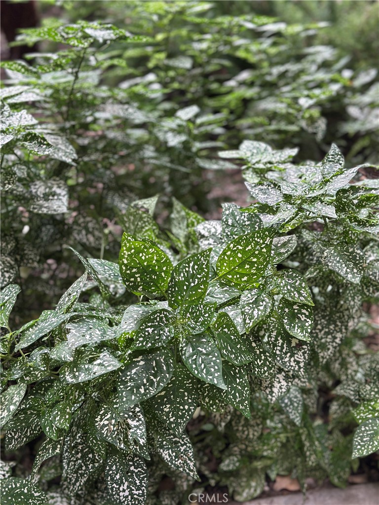 Villa Warner (VWAR) - Residential Lease