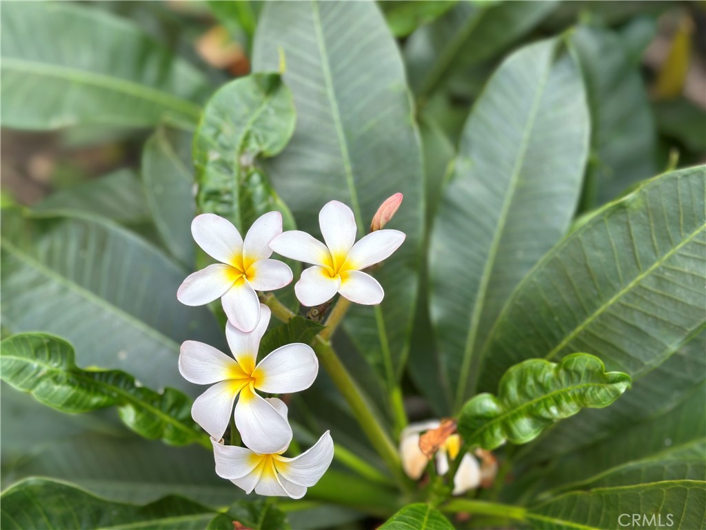 Villa Warner (VWAR) - Residential Lease