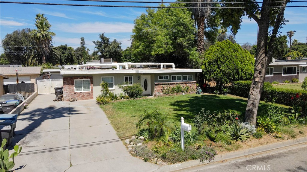 3179 Jane Street