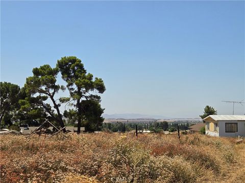 Photo of 9575 Oak Glen Road, Cherry Valley, CA 92223 (MLS # EV24165522)