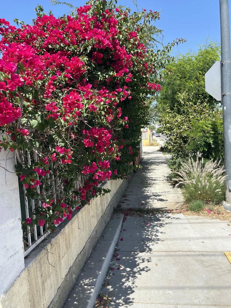 84966 Calle Verde