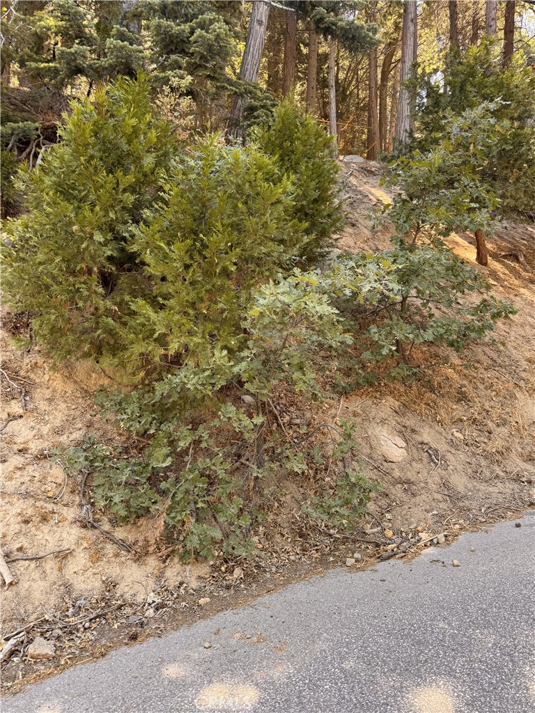 Crestline (CRES) - Land