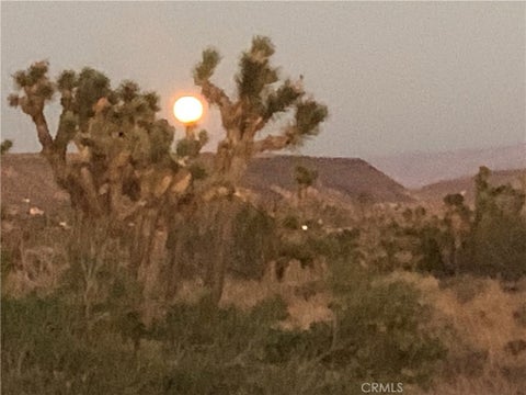 Photo of 100 Gods Way Love Rd Road, Pioneertown, CA 92268 (MLS # JT26162893)