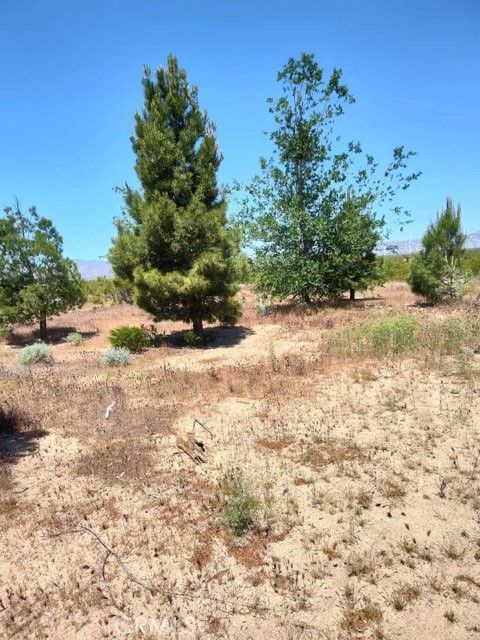 Photo of 10376 55th Street W, Mojave, CA 93501 (MLS # SR26022040)