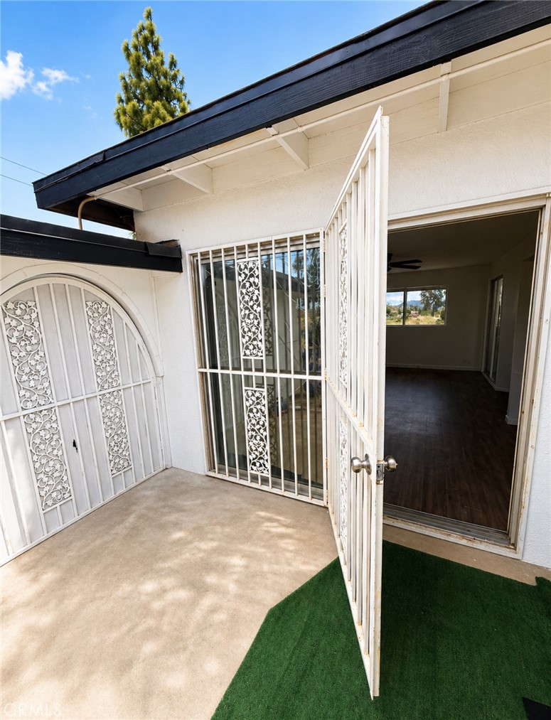 17301 Palm