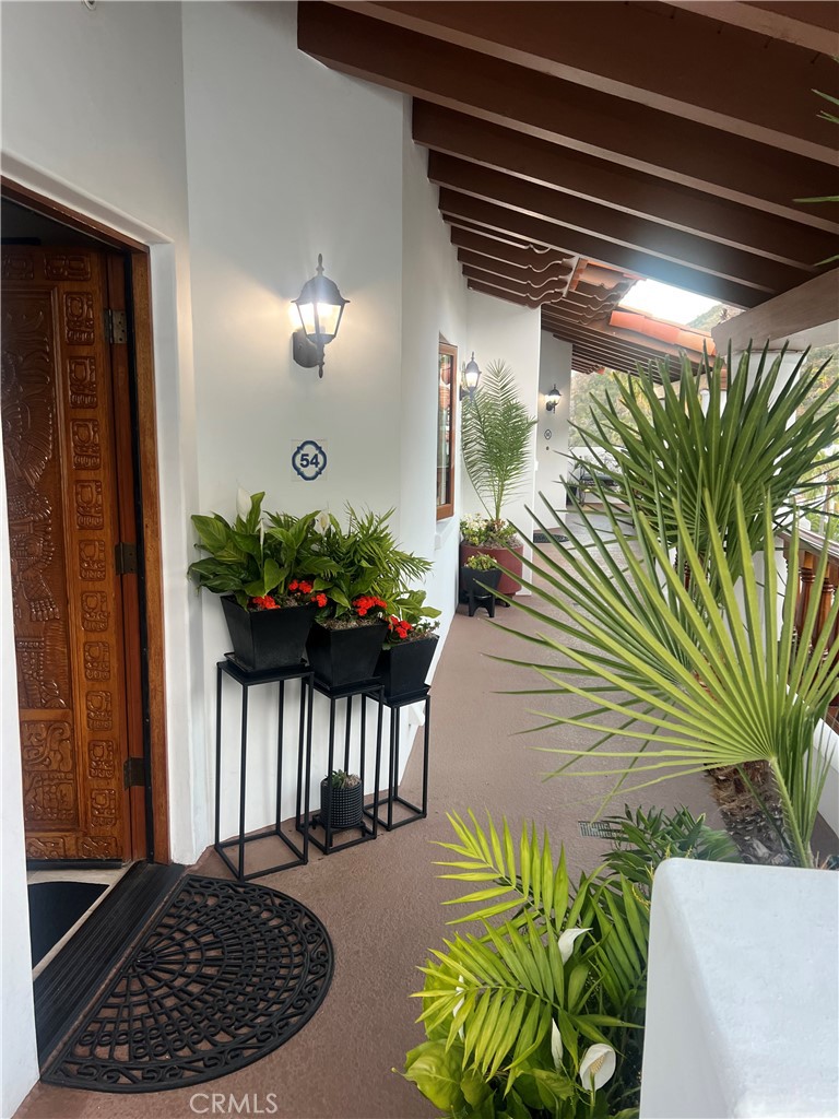 54 Gaviota