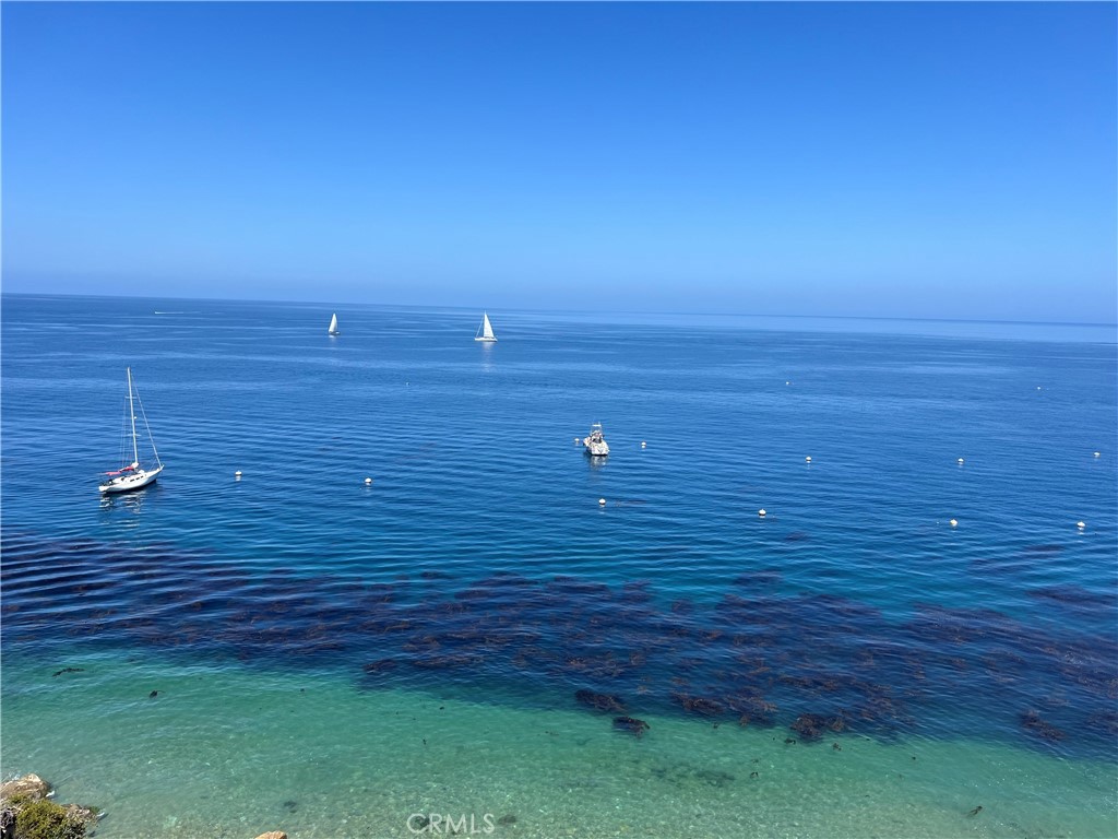 54 Gaviota