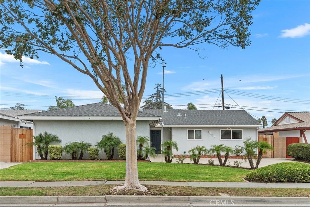 8161 Valencia