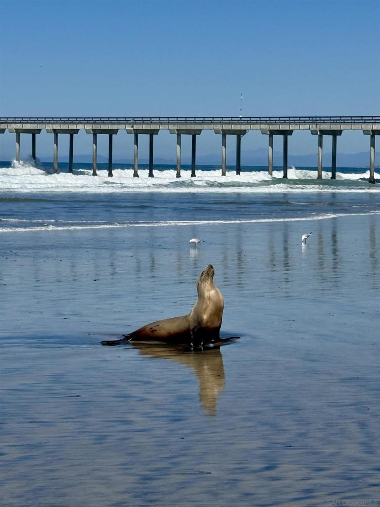 La Jolla - Residential Lease