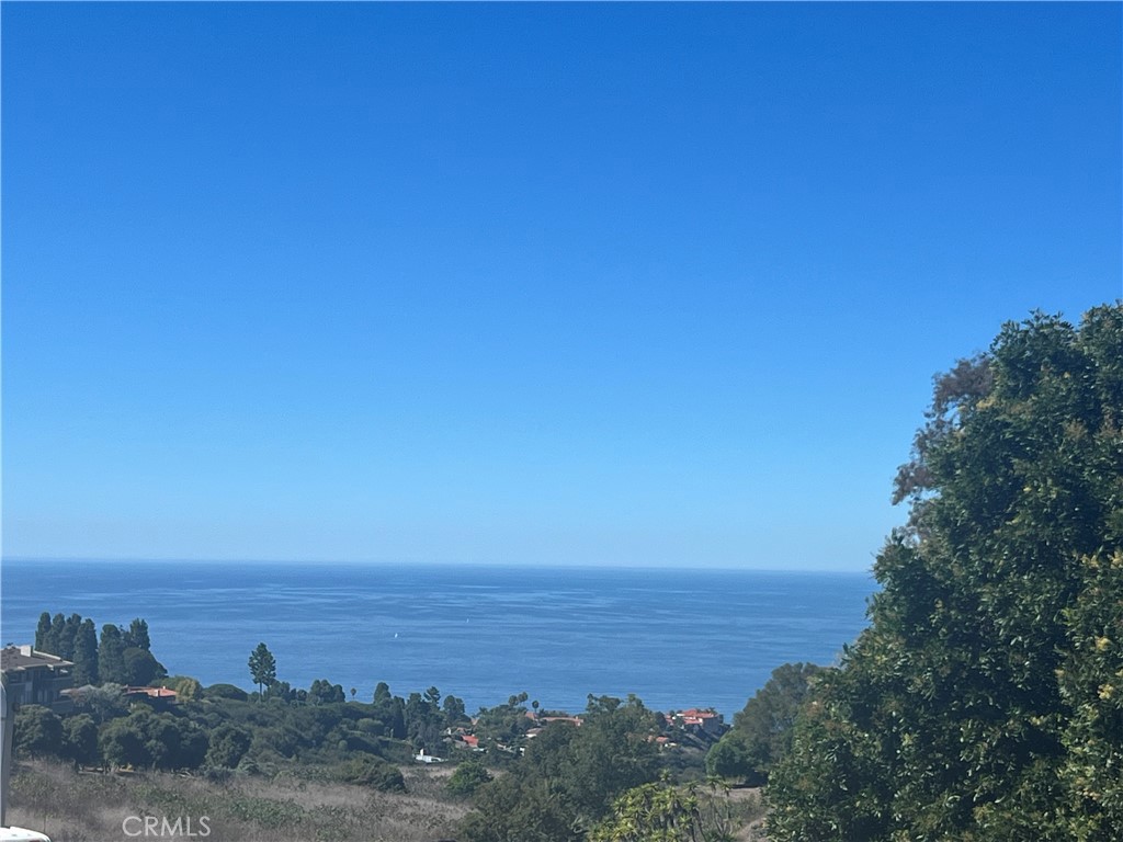 Ocean-view end unit with incredible potential. Enjoy ocean and canyon views from this extra-large one-bedroom condo featuring high ceilings, a stone fireplace, a private deck, wet bar, in-unit laundry, and four spacious closets. Located in a desirable community offering a pool, spa, secure parking, security door, community room and easy elevator access. Nestled on a cul-de-sac near Hess Park, top-rated schools, shops, and restaurants. This unit offers a rare opportunity to customize and create your dream coastal retreat—needs some TLC but has great bones and views to match!