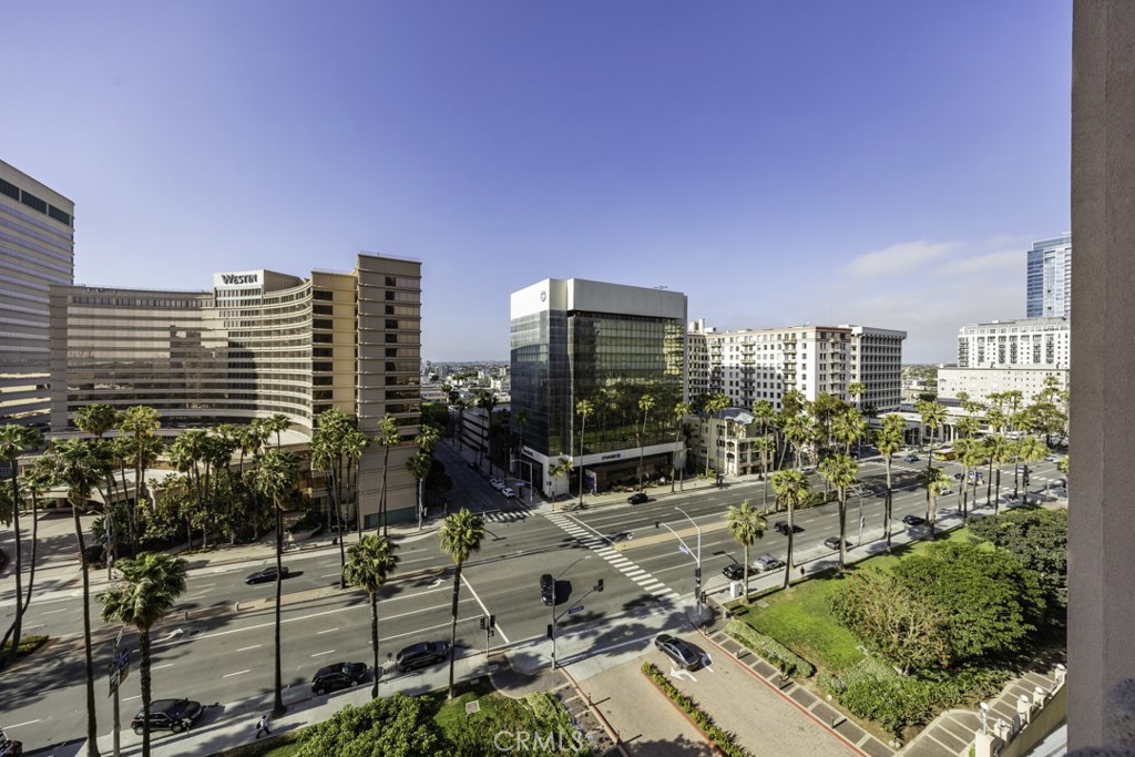 388 E Ocean Boulevard 1006