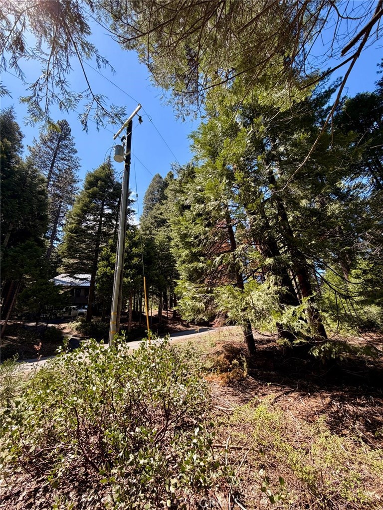 7631 Forest
