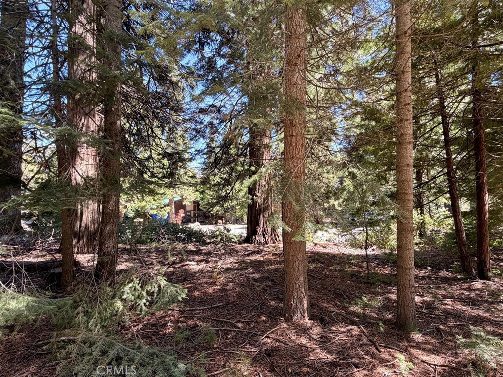 7631 Forest