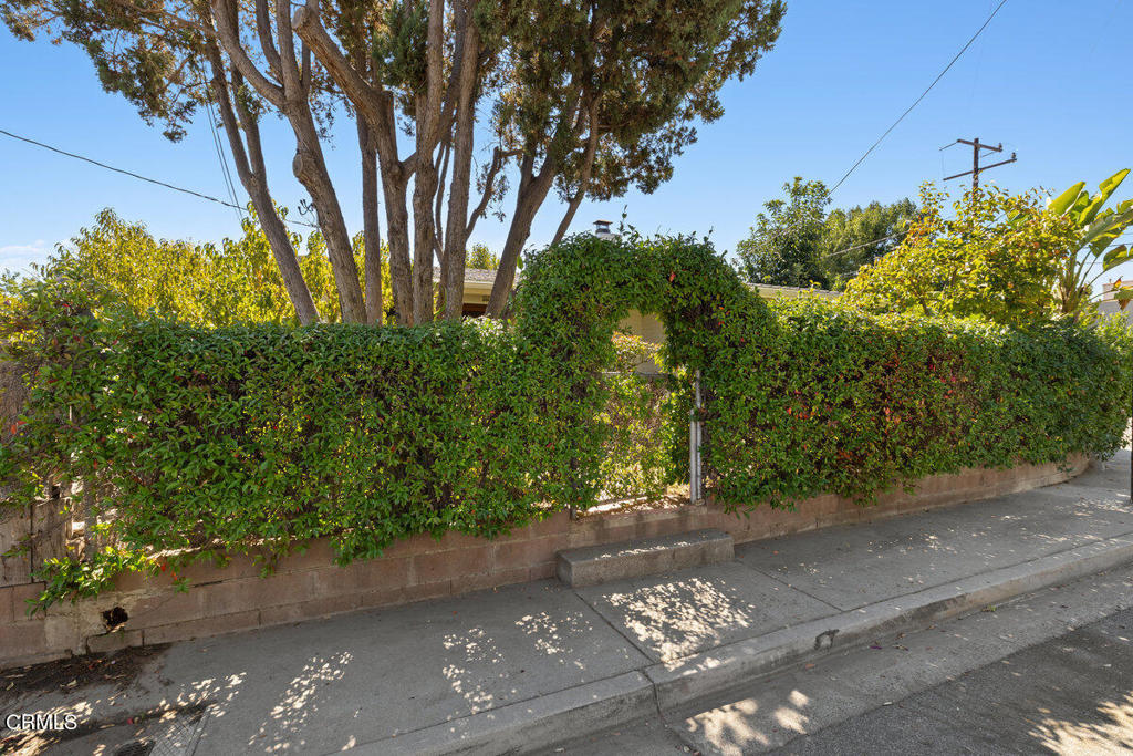 386 Larmier Avenue